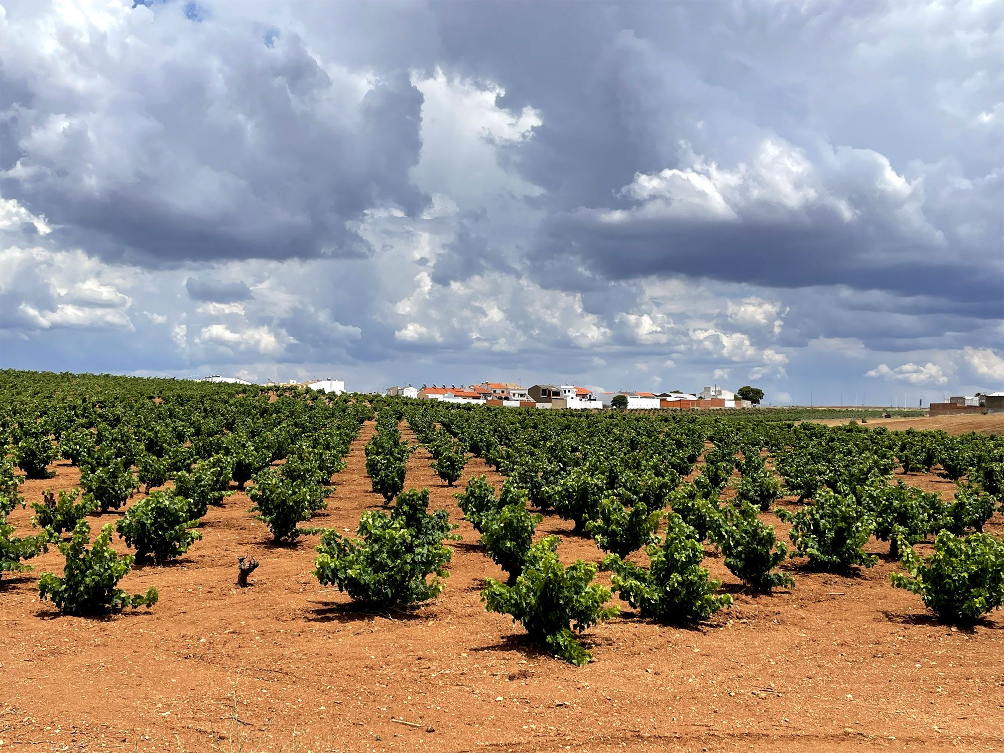 Solares. INMOBILIARIA CASA ESTEPONA en Estepona