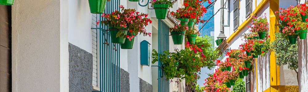 Descubra nuestra gran oferta inmobiliaria en Estepona. INMOBILIARIA CASA ESTEPONA en Estepona